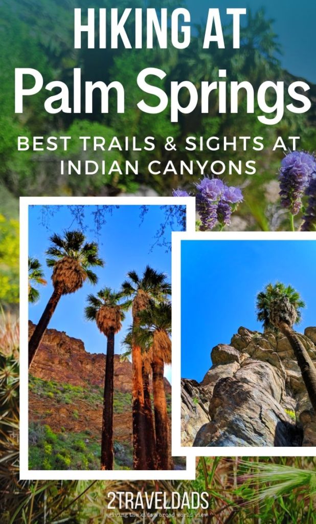 The best hiking in Palm Springs includes palm forests, waterfalls, oasis and desert. Hiking trails and tips for exploring beyond the city of Palm Springs, California. #hiking #California #PalmSprings