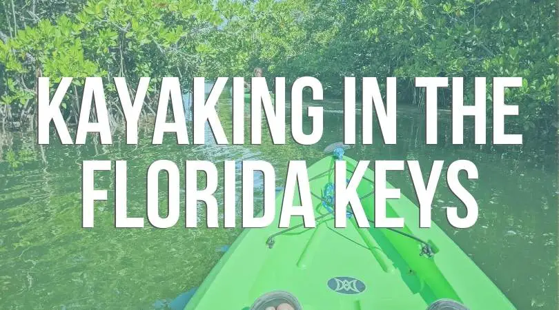 Best Kayaking in the Florida Keys