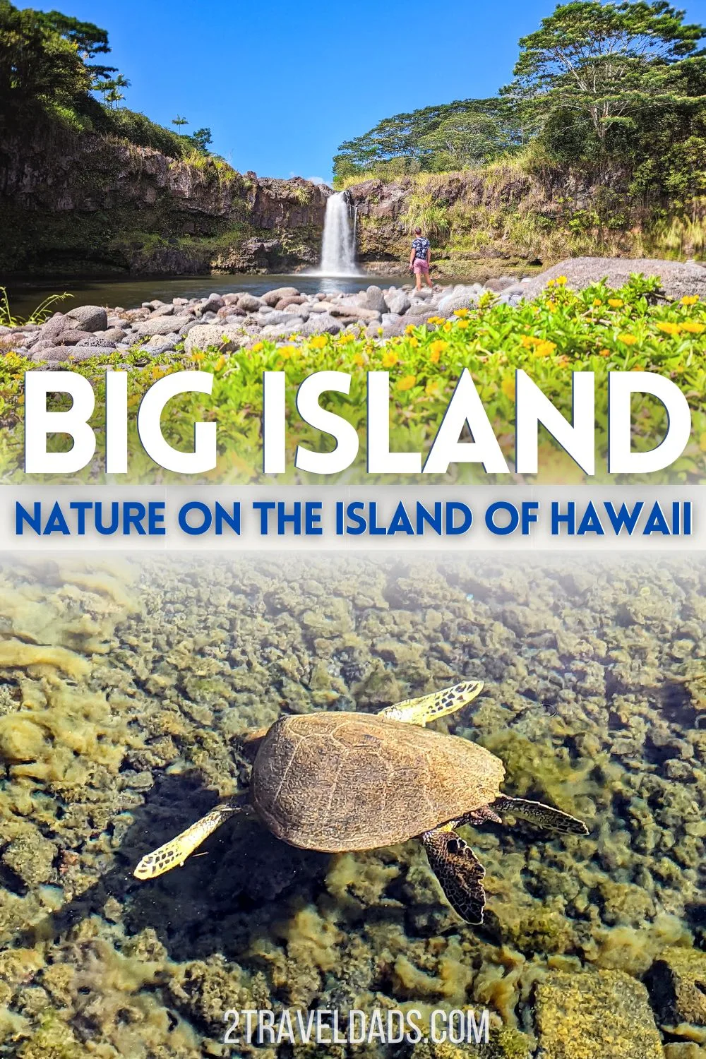 The Big Island of Hawaii has so much nature and unique things to do, it's the perfect Hawaiian experience. From volcanoes to snorkeling or just watching sea turtles on the beach, these are the sights and activities not to miss from Kona to Hilo.
