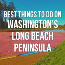 The best things to do on Washington's Long Beach Peninsula including beach fires, hiking, birdwatching, lighthouses and clam digging! Visiting cranberry farms and wildlife refuges year round for unique PNW experiences.