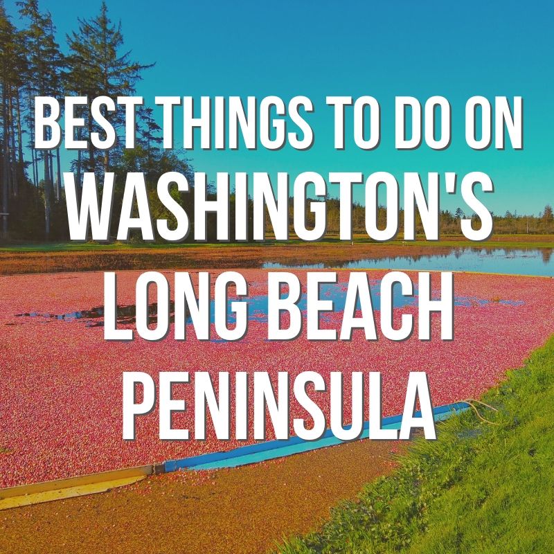Best Things to Do on Washington’s Long Beach Peninsula, from Cranberries to Lighthouses