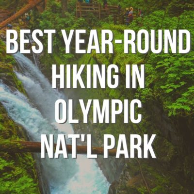 These are the best year round hikes in Olympic National Park that you can do in any weather! Beach and rainforest hiking, views and quiet forests. #hiking #washington #olympicnationalpark #outdoors