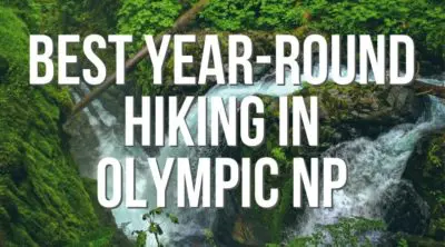 These are the best year round hikes in Olympic National Park that you can do in any weather! Beach and rainforest hiking, views and quiet forests. #hiking #washington #olympicnationalpark #outdoors