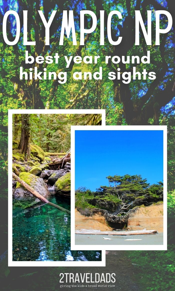 Olympic National Park is a year-round hiking destination. Top hiking trail picks from the beaches to the rainforest, and even what to do in winter at Olympic National Park.