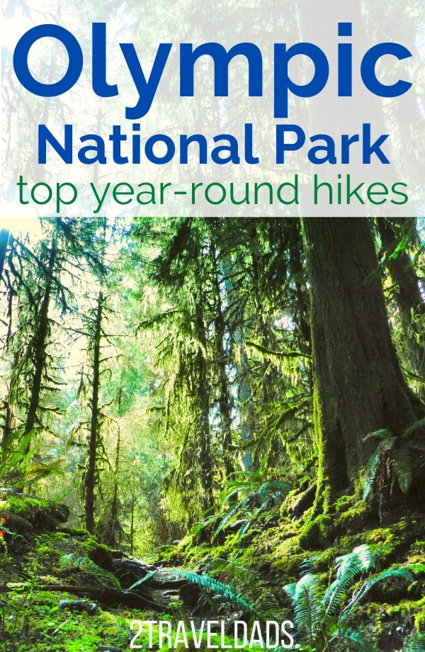 These are the best year round hikes in Olympic National Park that you can do in any weather! Beach and rainforest hiking, views and quiet forests. #hiking #washington #olympicnationalpark #outdoors