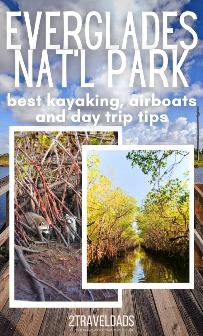 Everglades National Park: Best Boat Tours and Activities with Kids ...