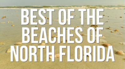 Beyond historic St Augustine there are tons of beaches and cool sights to see all around the area. Whether you're into alligators or want to visit an obscure National Park site, we've got the scoop on it all. And we've got some great restaurant picks too!