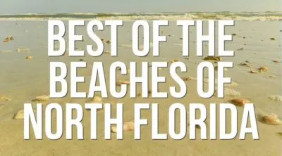 Beyond historic St Augustine there are tons of beaches and cool sights to see all around the area. Whether you're into alligators or want to visit an obscure National Park site, we've got the scoop on it all. And we've got some great restaurant picks too!