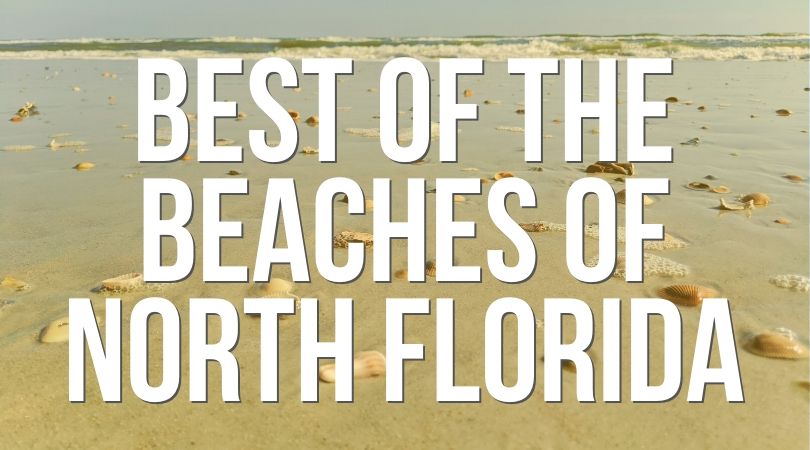 Beyond historic St Augustine there are tons of beaches and cool sights to see all around the area. Whether you're into alligators or want to visit an obscure National Park site, we've got the scoop on it all. And we've got some great restaurant picks too!