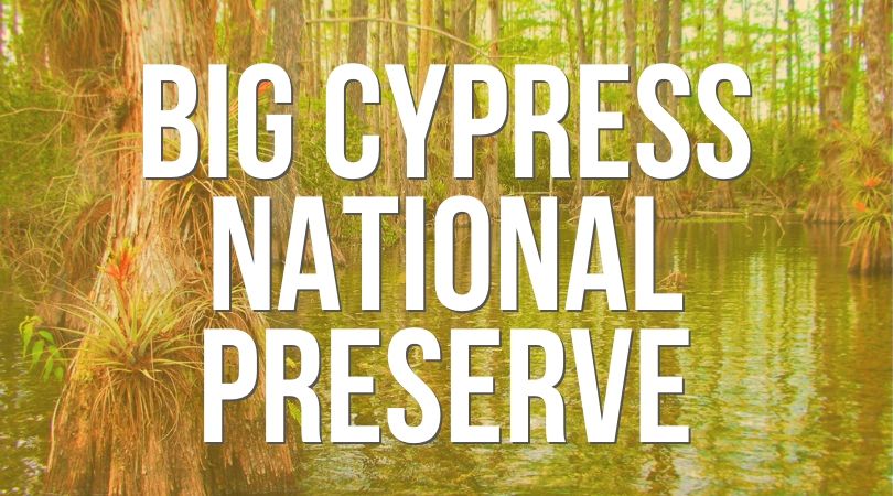 Big Cypress National Preserve Landing
