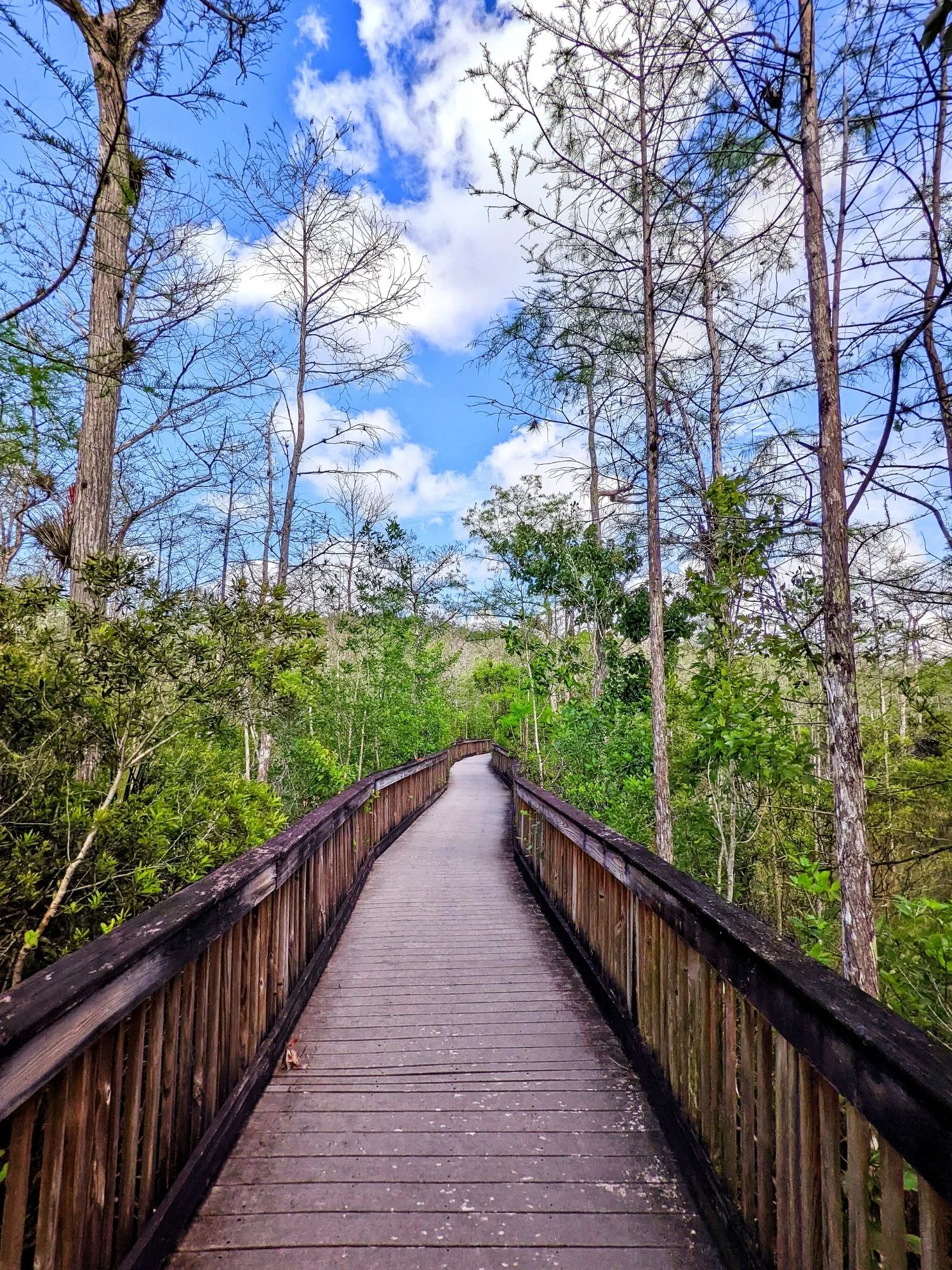 Big Cypress National Preserve