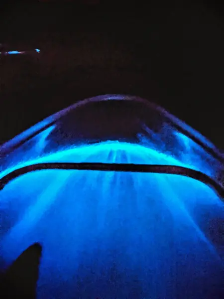 Bioluminescent Kayaking: Florida’s best kept (odd) thrilling magical ...