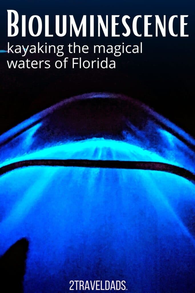 Bioluminescent-Kayaking-Florida-Pin-3-683x1024.jpg