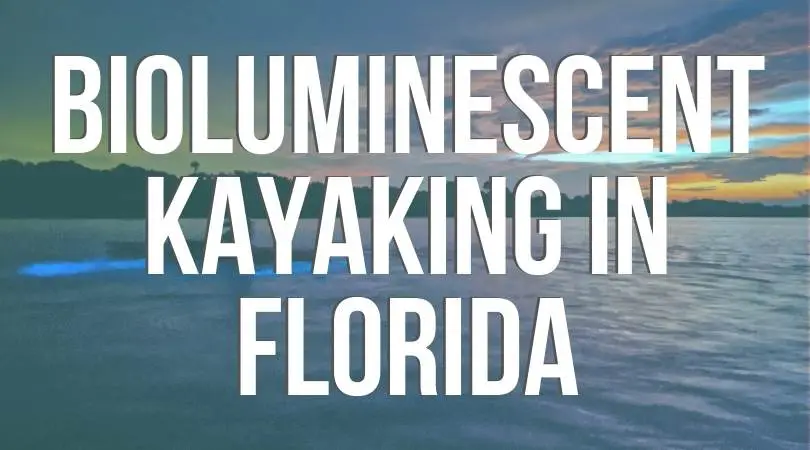 Bioluminescent Kayaking: Florida's Best Kept (odd) Thrilling Magical Secret. Where to go and everything you need to know to experience the wonder of glow in the dark night kayaking.