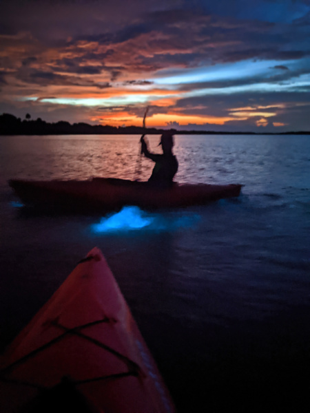Bioluminescent Kayaking on Mosquito Lagoon at Merritt Island NWR Titusville Florida 2020 3