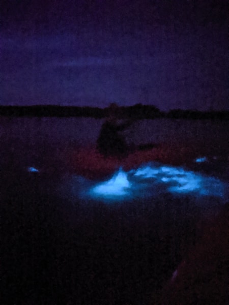 Bioluminescent Kayaking on Mosquito Lagoon at Merritt Island NWR Titusville Florida 2020 6