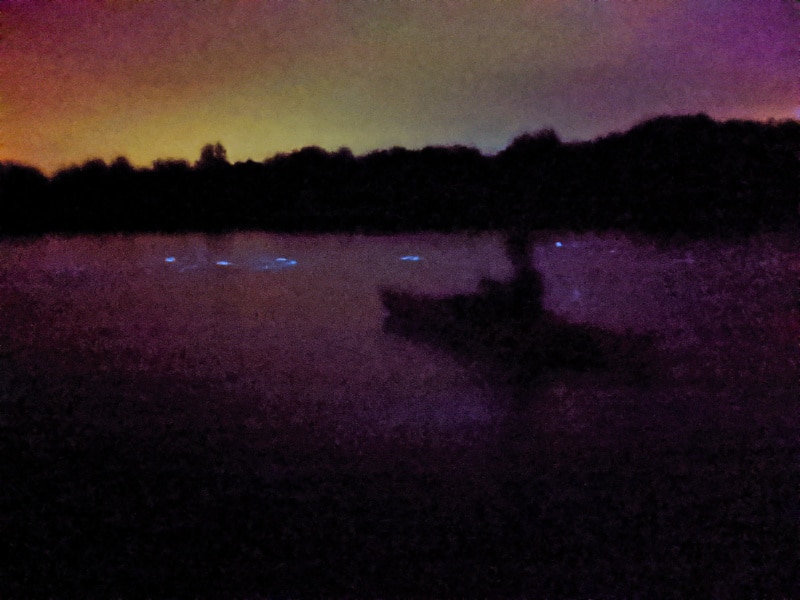 Bioluminescent Kayaking on Mosquito Lagoon at Merritt Island NWR Titusville Florida 2020 7