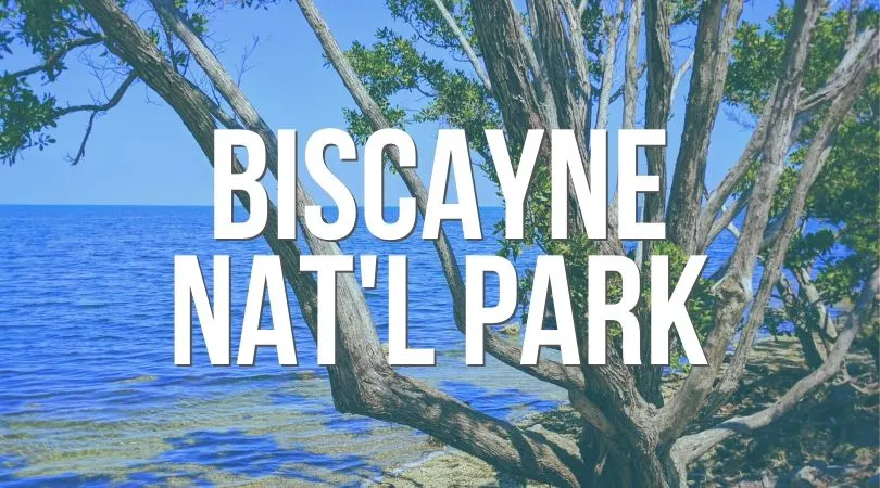 Biscayne National Park Landing