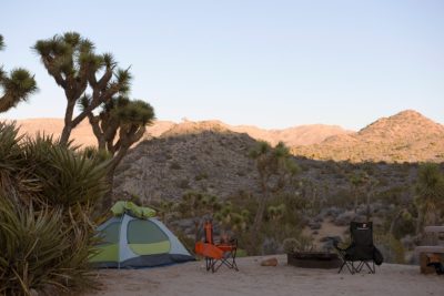 Black Rock Campground, from Joshua Tree NPS site, NPS / Hannah Schwalbe