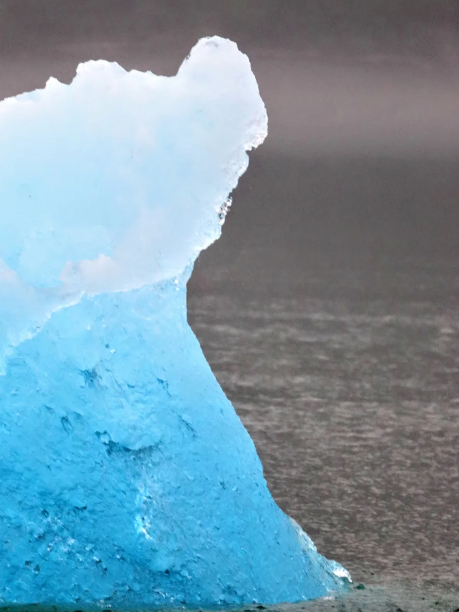 Blue Iceberg in Frederick Sound from UnCruise Wilderness Legacy Alaska 1