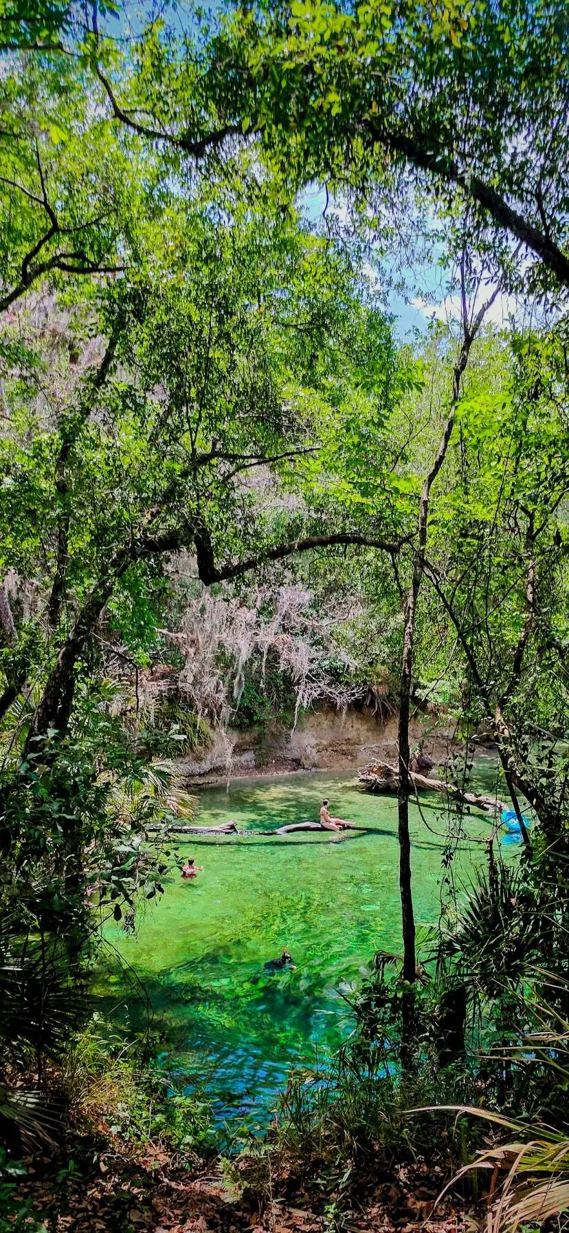 Blue Spring State Park Florida