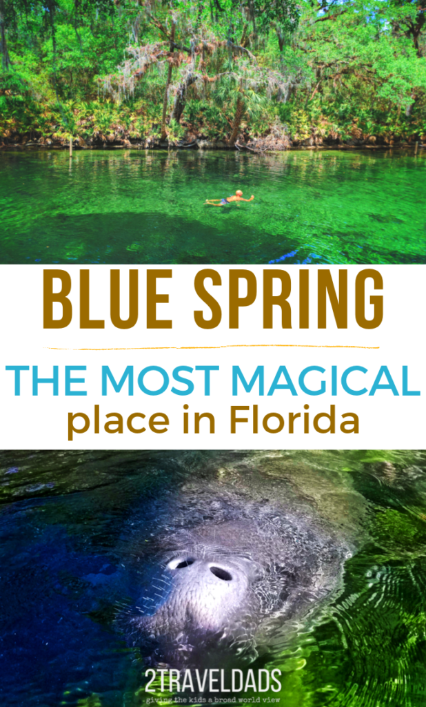 Everything you need to know about visiting Blue Spring State Park near Orlando, Florida. Swimming at the spring's headwaters, manatees by the hundreds and when to visit the most beautiful spot in Florida.