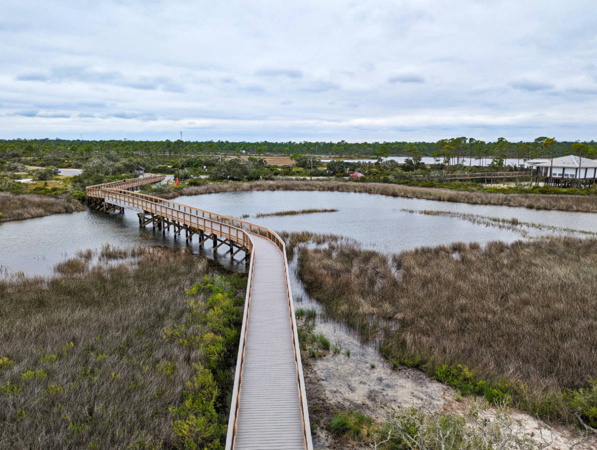 Boardwalk at Big Lagoon State Park Pensacola Florida 1