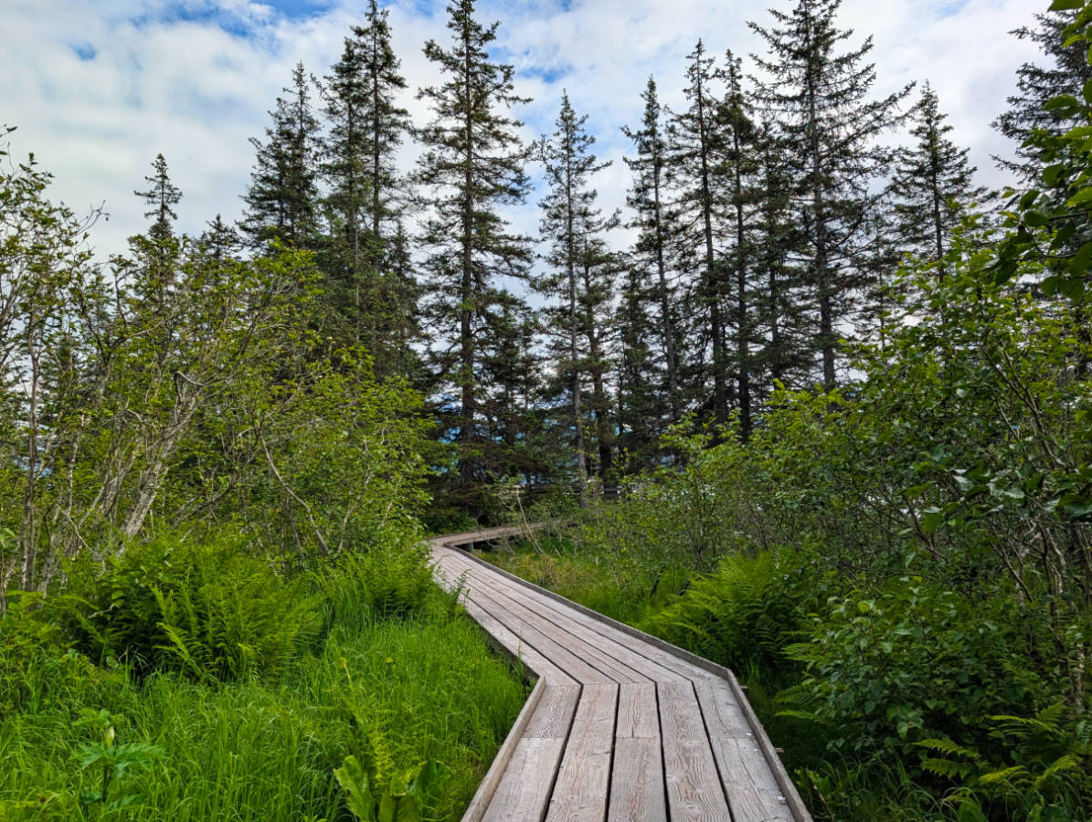Boardwalk on Dock Point Trail in Valdez Alaska