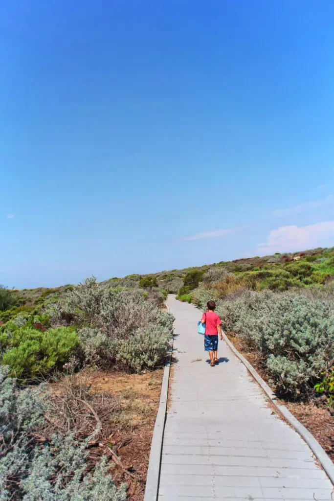 Boardwalk through Sand Dunes at Oso Flaco Lake Nature Preserve Nipomo California 1