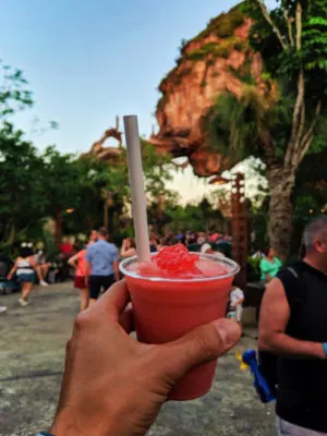 Boba Margarita in Pandora Disneys Animal Kingdom Disney World Orlando Florida 1