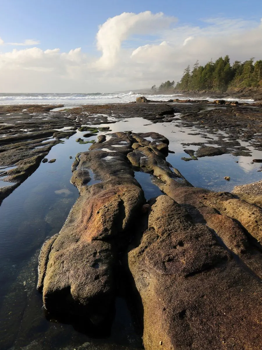 Botanical Beach Port Renfrew Vancouver Island British Columbia