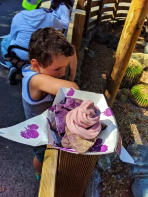 Boysenberry Ice Cream at Boysenberry Festival Knotts Berry Farm Buena Park California 2