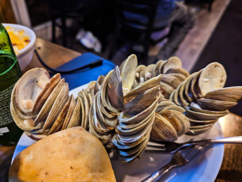 Visiting Cedar Key Beautiful Old Florida on the Gulf Coast