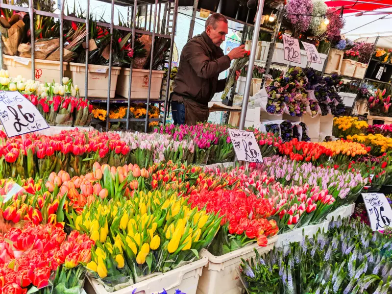 Bunches of Tulips at Columbia Road Flower Market East London 2