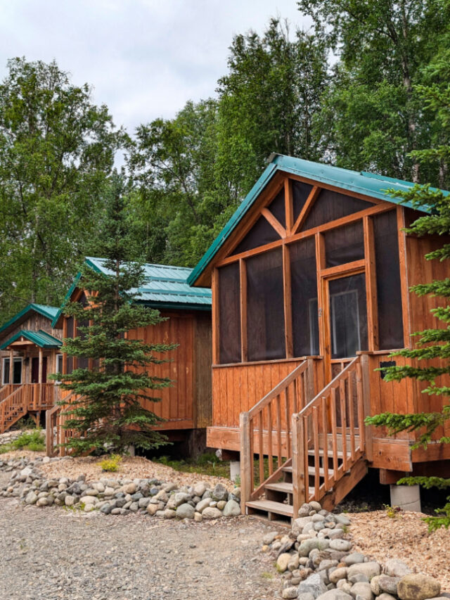 Cabins at Talkeetna Wilderness Lodge Talkeetna Alaska 1