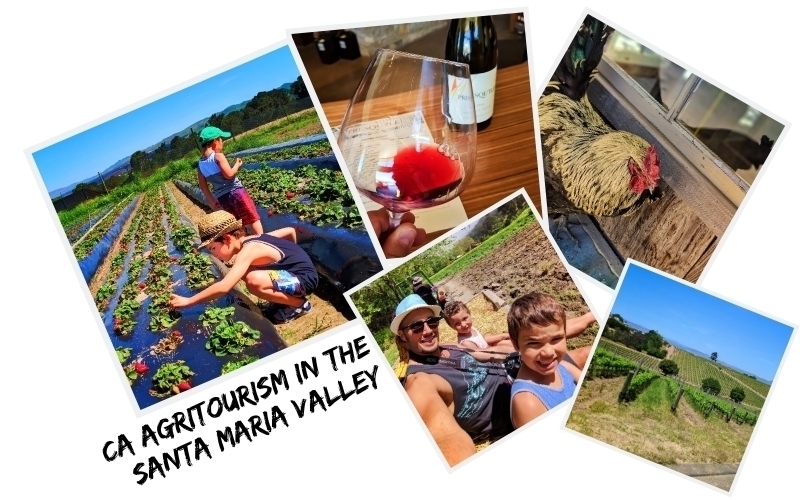 The Santa Maria Valley is an ideal destination for California Agritourism. With wine, fruit, produce fields and family farms, it's perfect for both relaxation and learning where your food comes from.