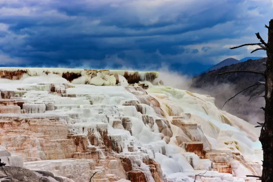 Canary Spring Mammoth Hot Springs Yellowstone National Park Wyoming 2