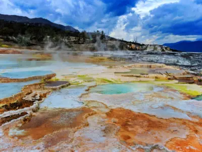 Canary Spring at Mammoth Hot Springs Yellowstone NP 5