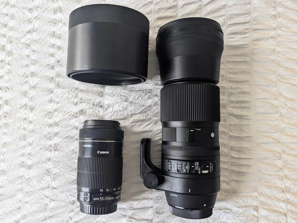 Canon Telephoto Lenses 250 and 600mm 1