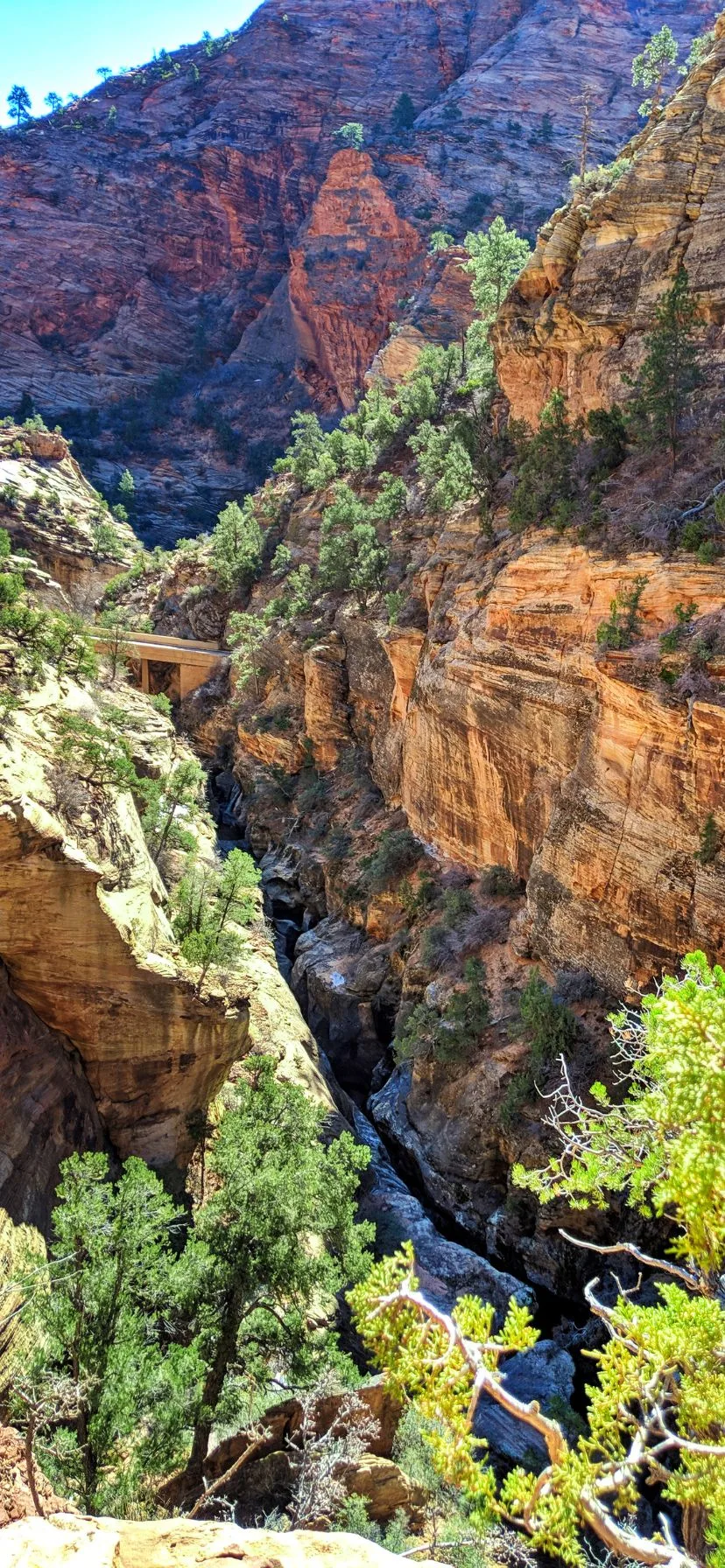 Canyon in Zion Utah National Parks Road Trip