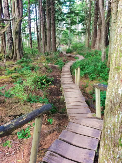 Cape Flattery Board Walk Trail Olympic Peninsula 2