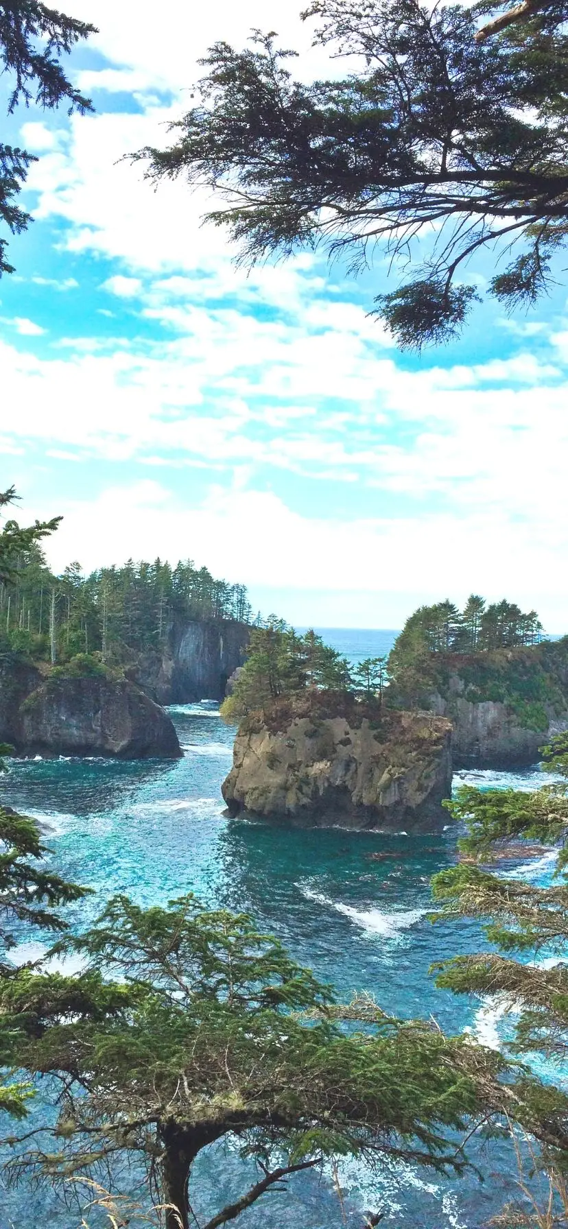 Cape Flattery Olympic Peninsula Things to Do