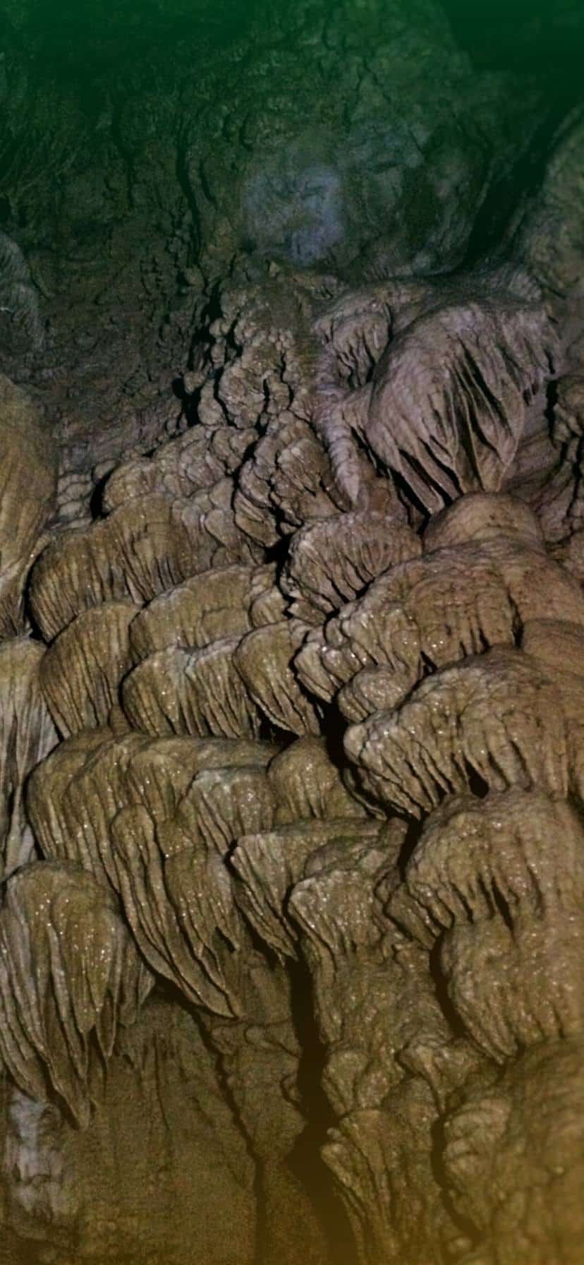 Cave Formations in Oregon Caves National Monument