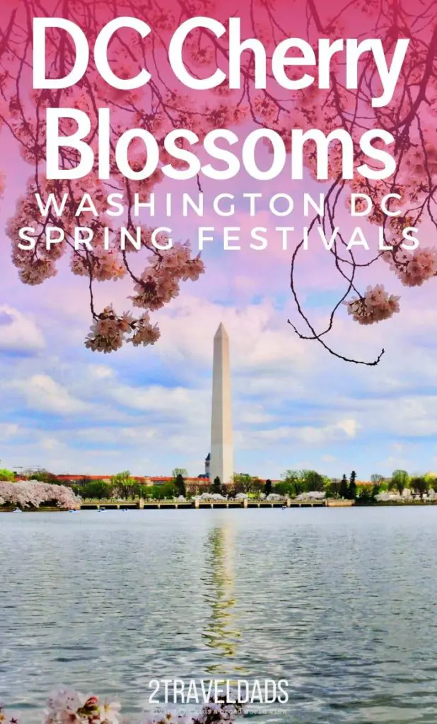 Washington DC is beautiful in the spring with more than 3000 cherry trees in bloom, the National Cherry Blossom Festival, and more happening.Have you been to Washington DC for the Cherry Blossom Festival or any of the other spring events? We dig into the famous blossoms of the Tidal Basin, other places to see cherry blossoms around Washington DC, and some surprising events open to the public.