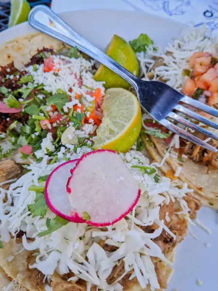 Chicken Tinga Tacos at Sanchos Tacos Breckenridge Colorado 1