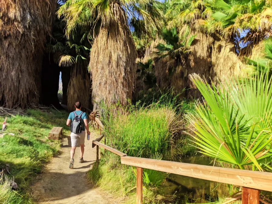 Chris Taylor Hiking at Coachella Valley Nature Preserve Palm Oasis California 3