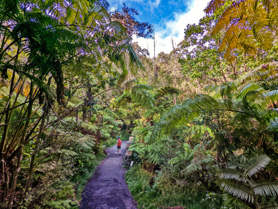 Chris Taylor at Thurston Lava Tube Hike Hawaii Volcanoes National Park 1b