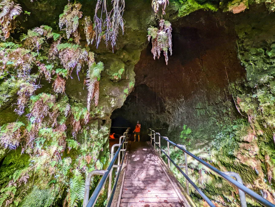 Chris Taylor at Thurston Lava Tube Hike Hawaii Volcanoes National Park 2