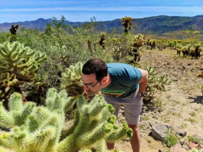 Chris Taylor in Cholla Cactus garden in Joshua Tree National Park California 1