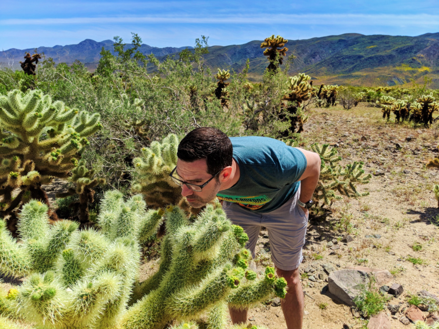 Chris Taylor in Cholla Cactus garden in Joshua Tree National Park California 1